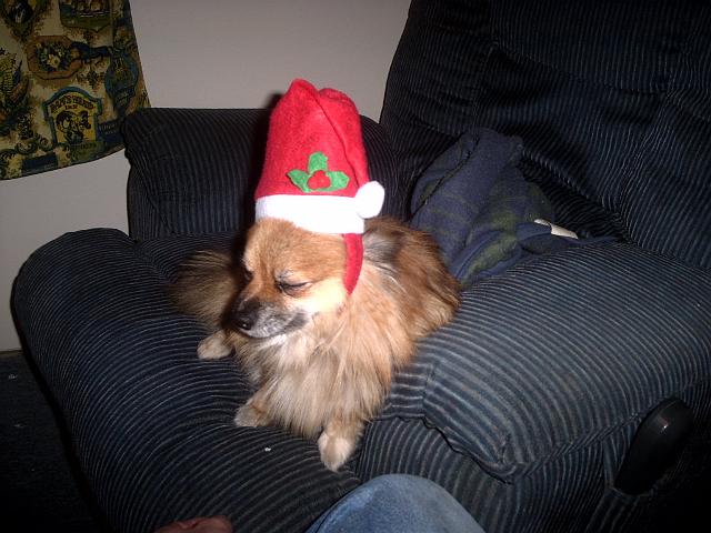 Picture 504.jpg